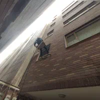 راپل کار در ارتفاع نماشویی پیچ رولپلاک با طناب|خدمات نظافت|قم, انسجام|دیوار