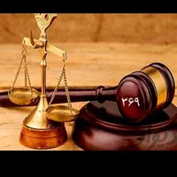 وکیل پایه یک دادگستری ده سال تجربه مدرس دانشگاه.