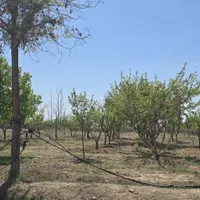 زمین ۱۹۰۰متری سهیلیه زعفرانیه کامرانیه_سندتک برگ