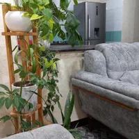 اجاره روزانه سوئیت آپارتمان یکخواب و دوخواب|اجارهٔ کوتاه‌مدت آپارتمان و سوئیت|بندرعباس, |دیوار