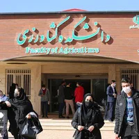 طراحی سمینار .مقاله پایان نامه .پروپوزال ترجمه|خدمات آموزشی|شهرکرد, |دیوار