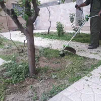 باغبانی لواسان ،فشم،پردیس،رودهن،دماوند|خدمات باغبانی و درختکاری|پردیس, |دیوار