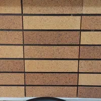 آجرنما 2.5*31*7سانتیمتر نسوز|مصالح و تجهیزات ساختمان|اصفهان, مسجد مصلی|دیوار