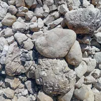 اهک غنچه