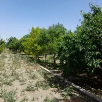 باغ ۳۵۰۰متری سند دار شاندیز گراخک|فروش زمین و ملک کلنگی|مشهد, وکیل‌آباد|دیوار