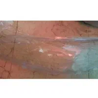 طلق چراغ جلو جک جی ۵ j5|قطعات یدکی و لوازم جانبی|تهران, جنت‌آباد جنوبی|دیوار