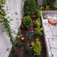 سمپاشی خدمات باغبانی کوددهی گلکاری
