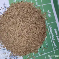 زرین بذر یونجه|خدمات باغبانی و درختکاری|شیراز, خلدبرین|دیوار