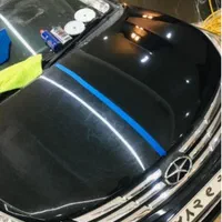 اجرای واکس پولیش/سرامیک/دیتیلنگ در محل|خدمات موتور و ماشین|تهران, آرژانتین|دیوار