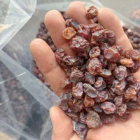 خریدوفروش عمده کشمش و مویز آفتابی درجه یک|عمده‌فروشی|شیراز, گویم|دیوار