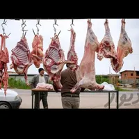 شهرداری تهران فروش گوسفند زنده چاق پرواری|حیوانات مزرعه|تهران, جوادیه|دیوار