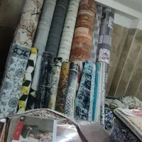 پالاز کناره|موکت|پرند, |دیوار