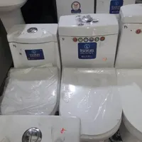 فرنگی ایساتیس