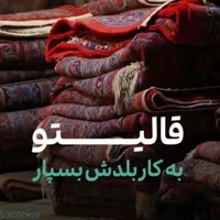 مجموعه بزرگ قالیشویی مبل شویی ورفوگری (خراسان)|خدمات نظافت|بیرجند, |دیوار