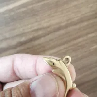 زیر خاکی. سکه. سنگ. ماهی زیبا. گوشواره