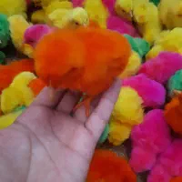 شرکت جوجه گوشتی|حیوانات مزرعه|رفسنجان, |دیوار