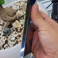 اپل iPhone 13 Pro Max ۲۵۶ ZAA100% پک اصلی|موبایل|شیراز, زند|دیوار