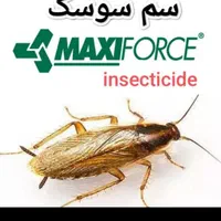 سم سوسک. ساس. موش. مورچه. مگس|خدمات نظافت|تهران, دروازه شمیران|دیوار