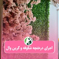 درختچه شکوفه و گرین وال های طبیعی قیمت عمده|خدمات باغبانی و درختکاری|مشهد, وکیل‌آباد|دیوار