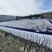 قالیشویی آپادانا          مجهز تضمینی شستشوی تخصصی
