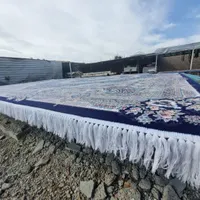 قالیشویی آپادانا          مجهز تضمینی شستشوی تخصصی