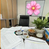 ترجمه رسمی و غیر رسمی متون انگلیسی و تدریس زبان|خدمات آموزشی|شیراز, قدوسی غربی|دیوار