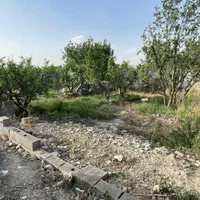 ۶۰۰مترباغچه بافت سرخاب باغ ویلا تهراندشت کردان|فروش زمین و ملک کلنگی|کرج, فاز ۲ مهرشهر|دیوار