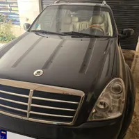 رکستون مشکی بی رنگ خونگی