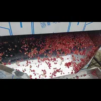 دستگاه دون کن انار+ دانه گیر+ آب گیری+ دونه گیر|ماشین‌آلات صنعتی|اصفهان, سنبلستان|دیوار