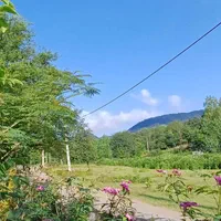 ویلا جنگلی در سراوان روستای کچا مستقیم از مالک|اجارهٔ کوتاه‌مدت ویلا و باغ|رشت, توشیبا|دیوار