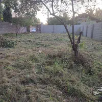 زمین مسکونی 380متر با پروانه ساخت سند دار|فروش زمین و ملک کلنگی|رشت, دیلمان|دیوار