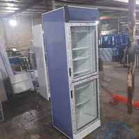 یخچال ایستاده دودرب