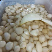 گل سیر سیرسیاه سیرکله سیرحبه سیرسفید|خوردنی و آشامیدنی|شیراز, فضل‌آباد|دیوار