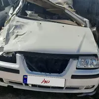 سمند تصادفی