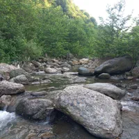 کلبه سوئیسی مایا|اجارهٔ کوتاه‌مدت ویلا و باغ|چابکسر, |دیوار