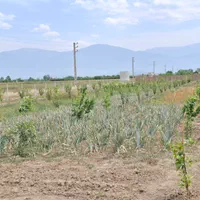 باغ فنس کشی شده کمربندی سرخنکلاته