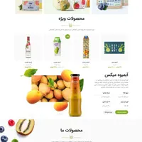 طراحی سایت فروشگاهی و شرکتی و سئو