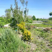 زمین ۱۲۰ متری گلستان/ معاوضه /دارای پروانه