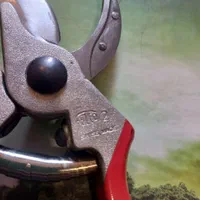 قیچی باغبانی فیلکو ۲ ( FELCO 2 )|خدمات باغبانی و درختکاری|تهران, حسن‌آباد|دیوار