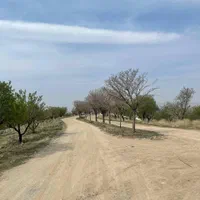 *۴۳هکتار زمین براصلی اتوبان سند تک برگ بدون مشابه*|فروش زمین و ملک کلنگی|رودهن, |دیوار