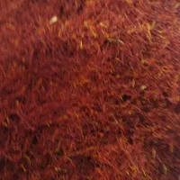 زعف ران اقتصادی و نرمه رستورانی عیار بالا،طعم عالی|خوردنی و آشامیدنی|قم, ارم|دیوار