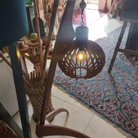 کنارسالنی سنجاقک