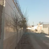 چهاردیواری بافت زکی آباد،سهیلیه،زعفرانیه،زکی آباد|فروش زمین و ملک کلنگی|کرج, مهرشهر - فاز ۲|دیوار