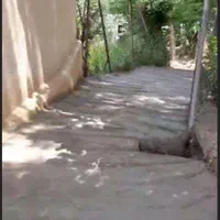 باغ ویلا2870متر دربهترین منطقه اب وهوایی طالقان|فروش خانه و ویلا|کرج, فاز ۴ مهرشهر|دیوار