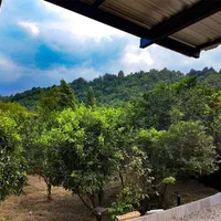 ویلای سنتی در باغ مرکبات هزارمتری تنکابن|اجارهٔ کوتاهمدت ویلا و باغ|تنکابن, |دیوار