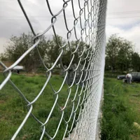 فنس کشی تخصصی