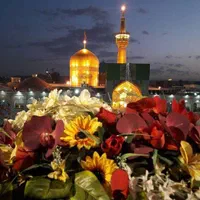 تور هوایی مشهد همه روزه با خدمات ویژه|تور و چارتر|شیراز, فرهنگ شهر|دیوار