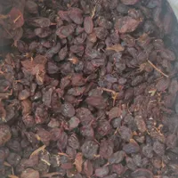 کشمش آبگیری|خوردنی و آشامیدنی|کرج, مهرویلا|دیوار