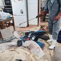 خدمات سمپاشی*موریانه زدایی*باضمانت ریشه حشرات|خدمات نظافت|اهواز, کوروش|دیوار