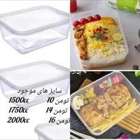 ظروف نظم دهنده
